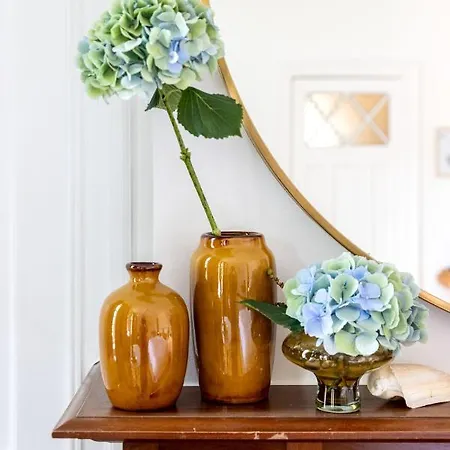 Blauwe Bed & Breakfast