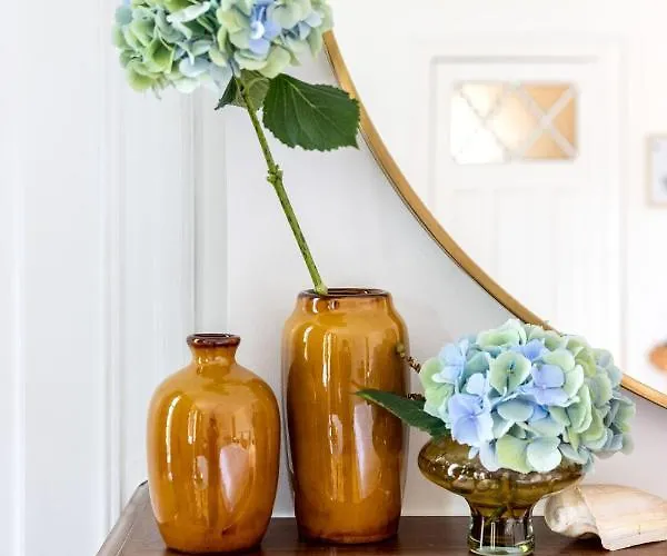 Blauwe Bed & Breakfast